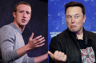 Elon Musk Snubs UFC For Mark Zuckerberg Fight